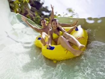 The Best Rides at Siam Park For Thrill Seekers  The Best Rides at Siam Park For Thrill Seekers