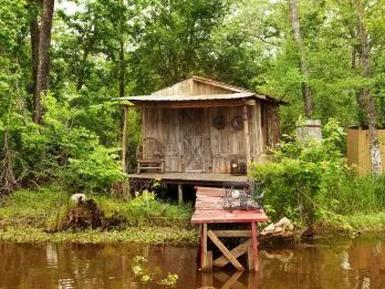 Swamp and Bayou Tour Swamp and Bayou Tour