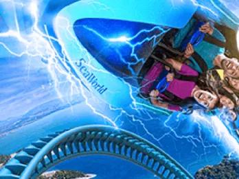 Es kann gezittert werden! Es kann gezittert werden!