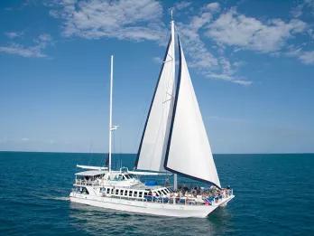Wavedancer Low Isles Reef Cruise from Cairns Wavedancer Low Isles Reef Cruise from Cairns