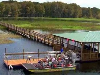 Wild Florida Airboat Rides & Gator Park Wild Florida Airboat Rides & Gator Park