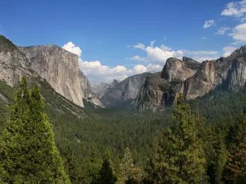 Yosemite National Park in a Day from San Francisco Yosemite National Park in a Day from San Francisco