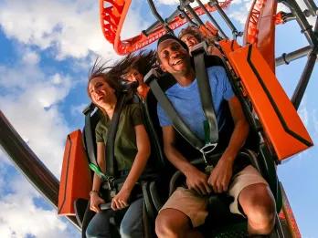 Tigris at Busch Gardens Tampa Bay