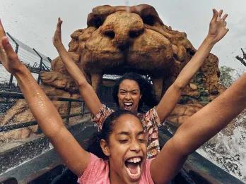 Tiger Rock at Chessington World of Adventures Ticket
