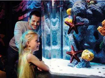 Girl viewing starfish at SEA LIFE London Aquarium.jpg