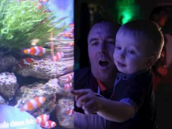 SEA LIFE Blackpool