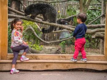 Chessington Zoo Two children standing in front of an animal enclosure at Chessington Zoo