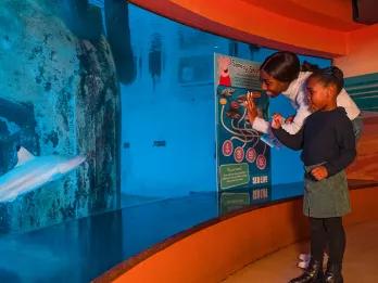 A mother and child wave to fish in a tank at SEA LIFE London