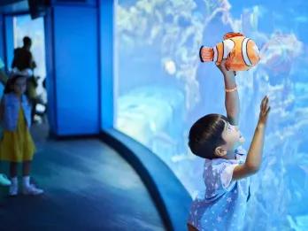 The Seas with Nemo and Friends at Epcot