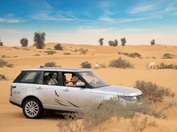 Platinum Heritage Safari in the Dubai Desert