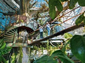 Green Planet™ Dubai indoor rainforest
