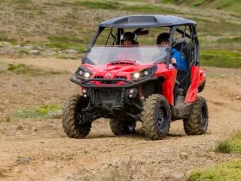 Golden Circle and Buggy