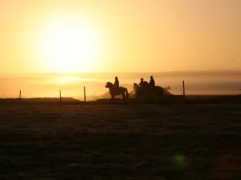 Golden Circle and Horse Riding