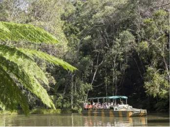 Classic Kuranda Classic Kuranda