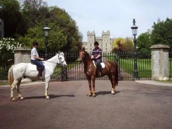 One Hour Horse Riding in Windsor Great Park Experience Voucher