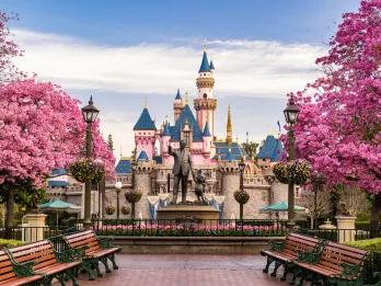 A pathway lined with pink-flowered trees leading to a statue of Walt Disney and Mickey Mouse in front of Sleeping Beauty Castle