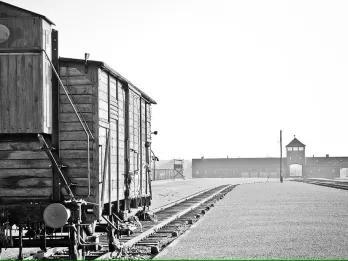 entrance-tracks