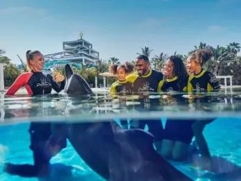 Dolphin-Encounter-at-Atlantis-Dubai