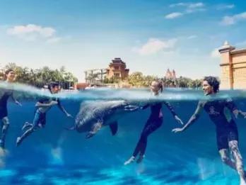 Dolphin-Swim-at-Atlantis-Dubai