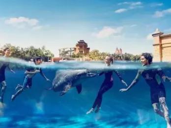 Dolphin-Swim-at-Atlantis-Dubai Dolphin-Swim-at-Atlantis-Dubai