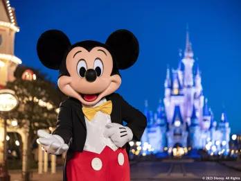 Disney After Hours - Walt Disney World Resort in Florida - Title image Disney After Hours - Walt Disney World Resort in Florida