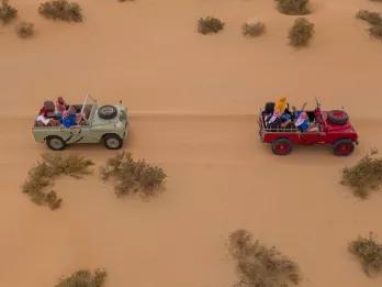 buggys-over-desert