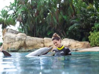 Woman interacting with a dolphin at Discovery Cove in Orlando