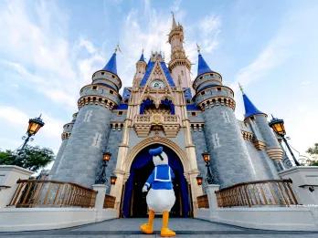Donald Duck walking away from the camera towards Cinderella Castle