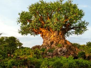 Animal Kingdom Tree of Life Blue sky with large tree shining in sunlight, on the tree there are carvings of different animals.