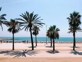 Ein Strand umsäumt von Palmen in Barcelona