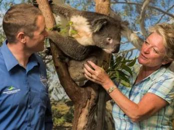 Blue Mountains - Hike The World Heritage