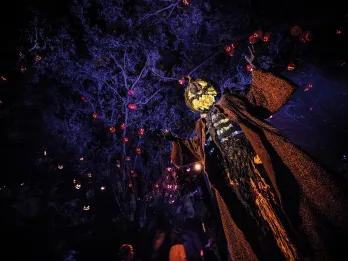 Halloween Horror Nights A scarecrow with a pumpkin head in front of dark trees