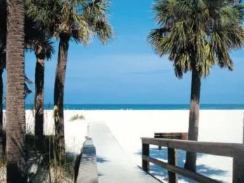 Gray Line Orlando Clearwater Beach Tours Gray Line Orlando Clearwater Beach Tours