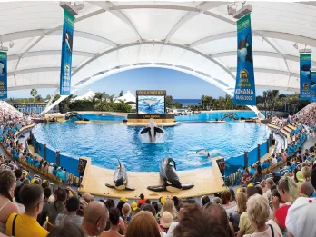 Loro Parque One Day Ticket with Free Burger