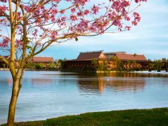 A beautiful tree with pink leaves stood in front of a large lake and on the other side there are any brown and orange Hawaiian themed buildings on the edge of the water.