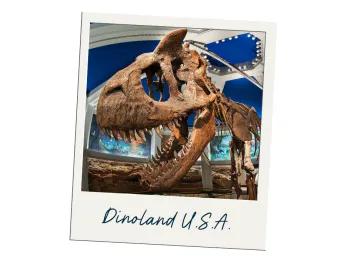 Dinoland U.S.A. Polaroid image of fossils of dinosaur. Contains the dinosaur head skull and its spine. There is a label saying "Dinoland U.S.A."