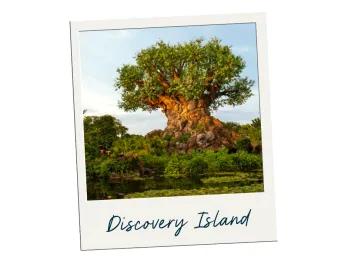 Polaroid image of large tree with animals carved into the trunk. There is a label beneath saying "Discovery Island".