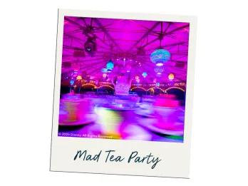Mad Tea Party bei Mickey's Not-So-Scary Halloween Party Mad Tea Party bei Mickey's Not-So-Scary Halloween Party