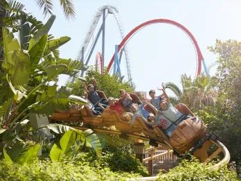 Rollercoaster