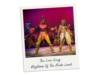 The Lion King: Rhythms of the Pride Lands im Disneyland Park The Lion King: Rhythms of the Pride Lands im Disneyland Park