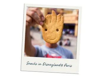 Grogu Cookie im Walt Disney Studios Park Grogu Cookie im Walt Disney Studios Park