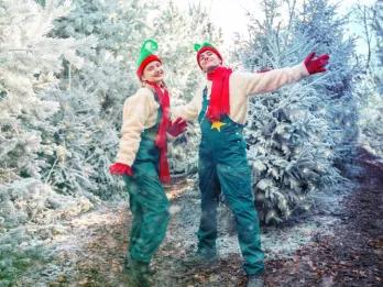 elves-in-enchanted-forest