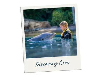 Discovery Cove A polaroid picture of a girl swimming with a dolphin labelled Discovery Cove