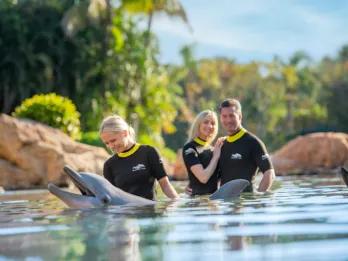 Family interacting with a dolphin at Discovery Cove Orlando