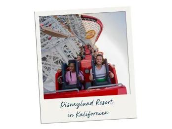 Disneyland Resort in Kalifornien Black Friday Angebot Disneyland Resort in Kalifornien Black Friday Angebot
