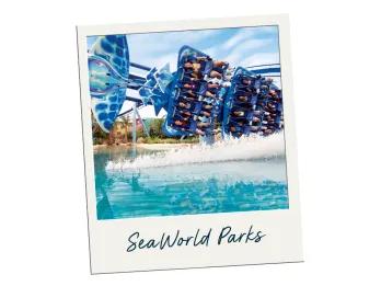 SeaWorld Orlando Black Friday Angebot SeaWorld Orlando Black Friday Angebot