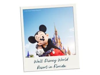 Walt Disney World Resort in Florida A polaroid image of Mickey Mouse hugging a young boy in front of Cinderella Castle labelled Walt Disney World Resort in Florida