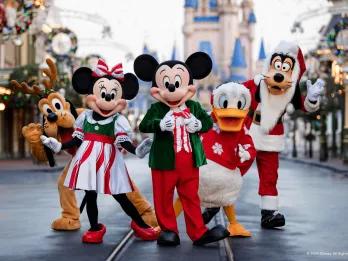 Walt Disney World in Resort Christmas Road down to a pink and blue castle. There are christmas reefs and Mickey Mouse, Minnie Mouse, Donald Duck, Pluto and Goofy are stood in the middle.