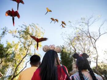 Winged Encounters A group of friends looking up at parrots flying overhead