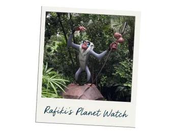 A polaroid image of a statue of Rafiki from The Lion King